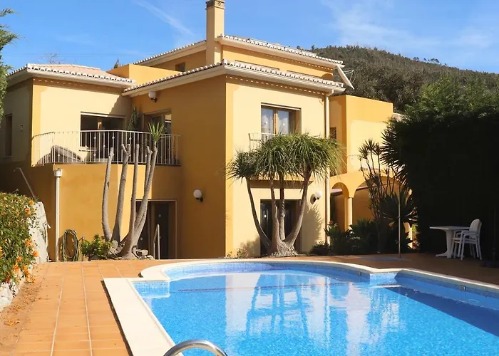 Casa Das Oliveiras - Olive Tree