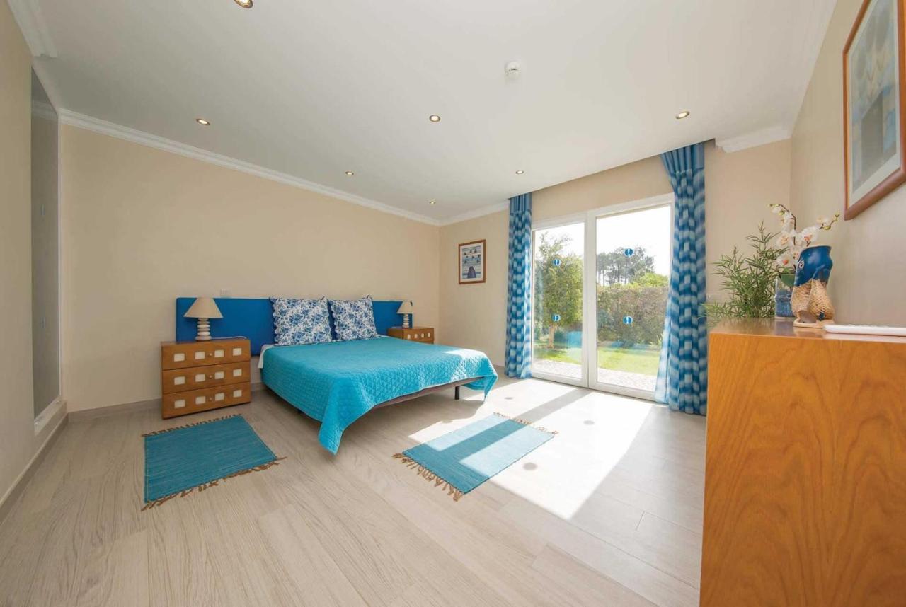Casa Oliveiras - Olive Tree