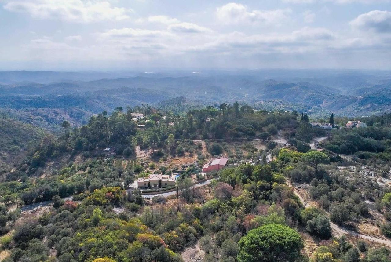 Casa Oliveiras - Olive Tree Villa