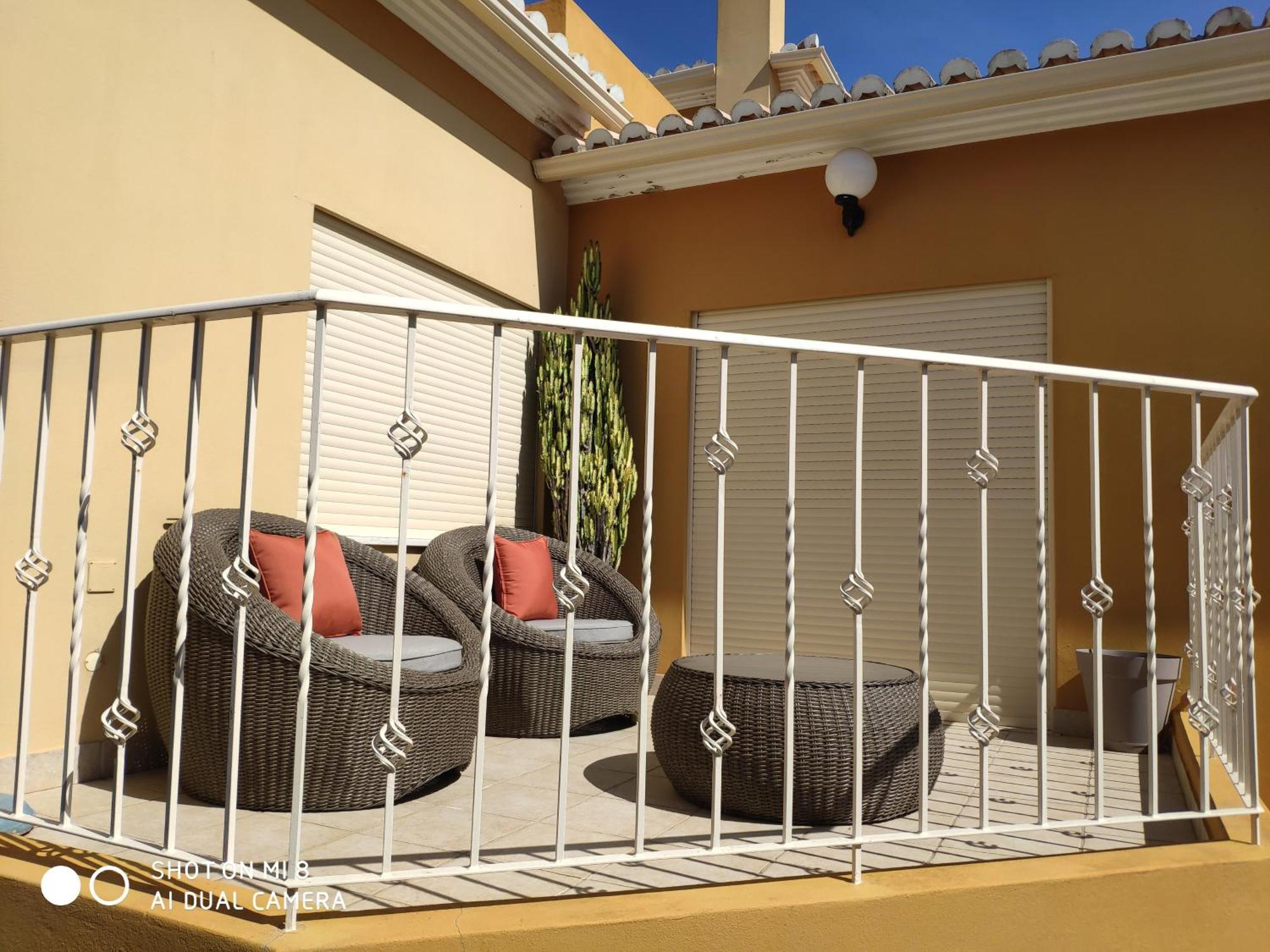 Casa Oliveiras - Olive Tree