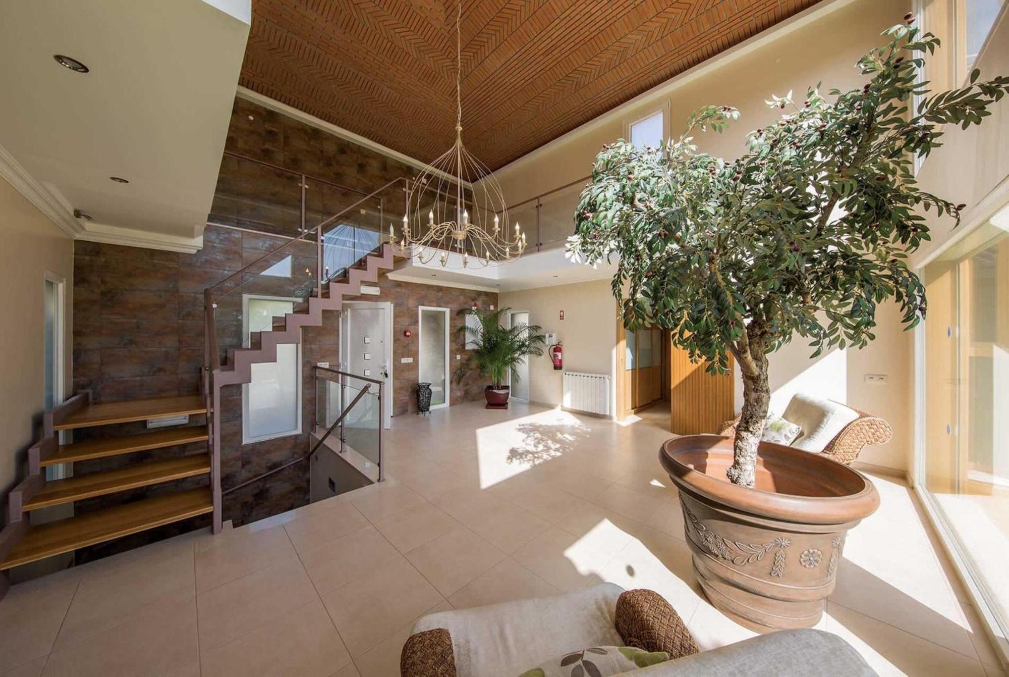 Villa Casa Oliveiras - Olive Tree *