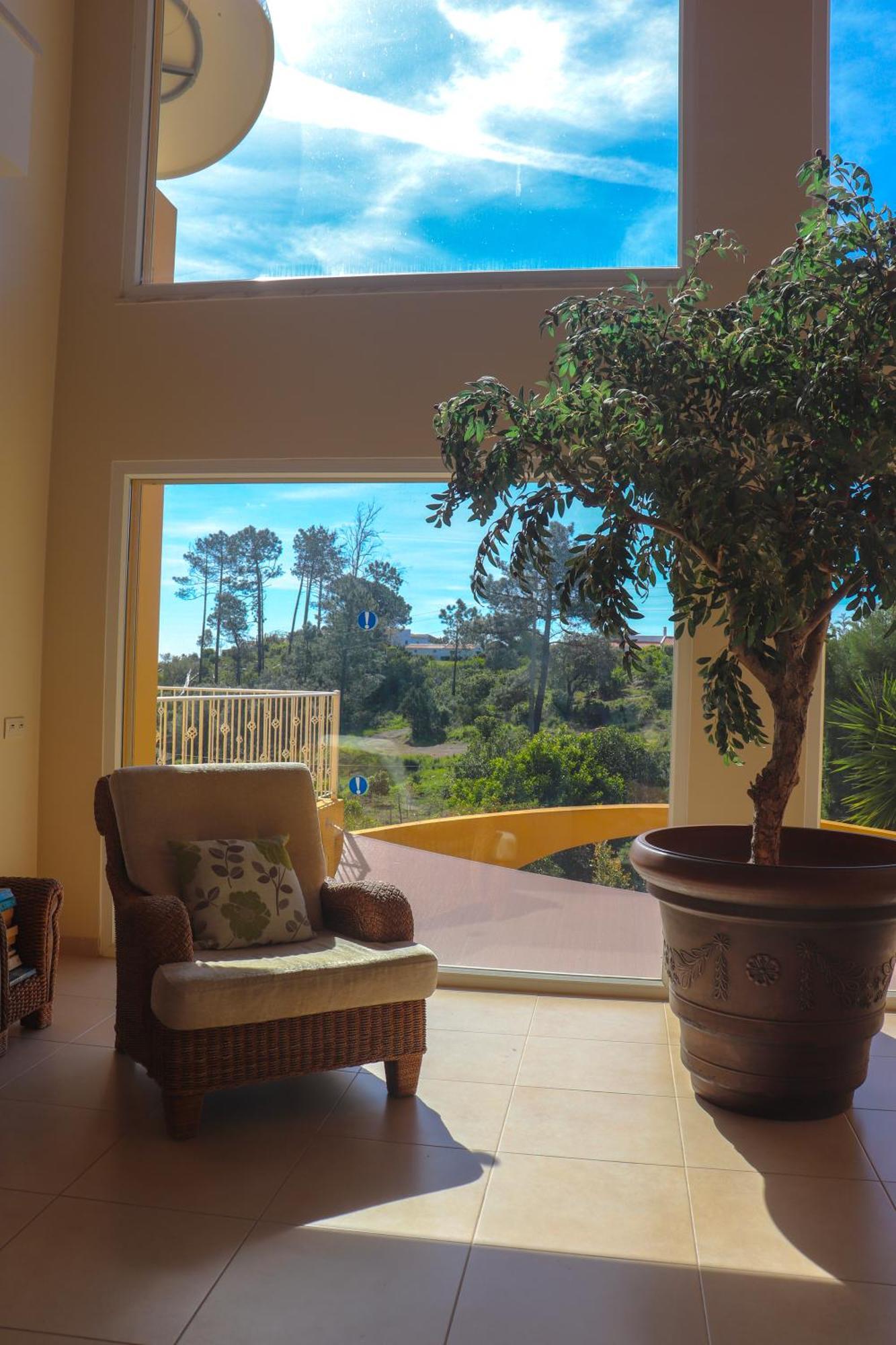 Casa Oliveiras - Olive Tree
